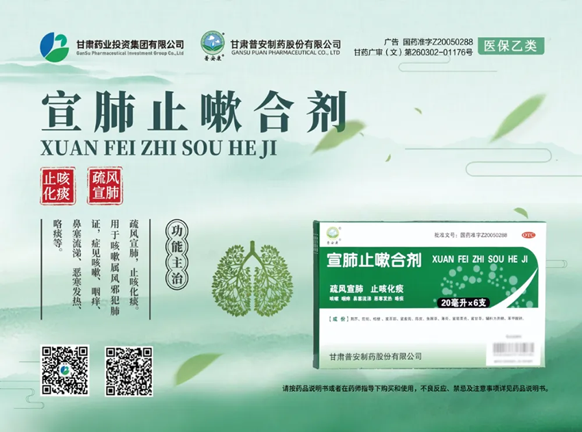 å®£èºæ­¢å½ååæèº«â2025å¹´ä¸åå¹´æ­¢å³ç¥ç°å¹³åä¸­æè¯åçTOP10âä¹å