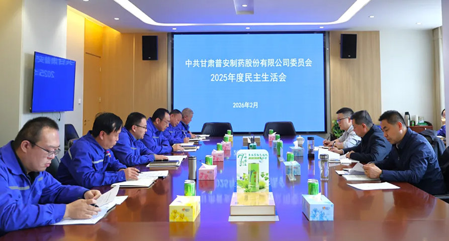 ãæ®å®æ°é»ãæ®å®å¶è¯å¬å¼2025å¹´åº¦ååé¢å¯¼å¹²é¨æ°ä¸»çæ´»ä¼çª¦çé­å°ä¼æå¯¼å¹¶æ°é®å°é¾ååèå·¥